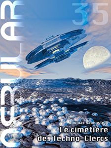 Descargar NEBULAR 35 – Le cimetière des Techno-Clercs: Nebular Épisode (French Edition) pdf, epub, ebook