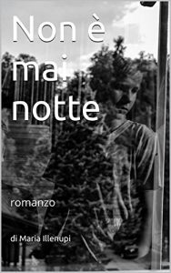 Descargar Non è mai notte: romanzo (Italian Edition) pdf, epub, ebook
