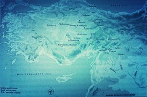 Descargar Etrusco: una lingua Anatolica dalla morfologia arcaica e un lessico Semitico: (Compilationes) (Italian Edition) pdf, epub, ebook