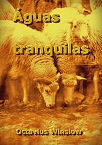 Descargar Águas Tranquilas (Portuguese Edition) pdf, epub, ebook