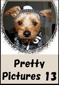 Descargar Pretty animal nature Pictures 13 (Japanese Edition) pdf, epub, ebook