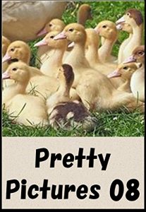 Descargar Pretty animal nature Pictures 08 (Japanese Edition) pdf, epub, ebook
