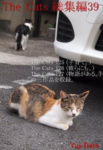 Descargar zakyaltutusousyuuhensanjyuukyuu (Japanese Edition) pdf, epub, ebook