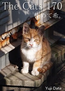 Descargar zakyaltutuhyakunanajyuu (Japanese Edition) pdf, epub, ebook