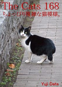 Descargar zakyaltutuhyakurokujyuuhati (Japanese Edition) pdf, epub, ebook