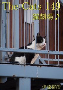 Descargar zakyaltutuhyakuyonjyuukyuu (Japanese Edition) pdf, epub, ebook