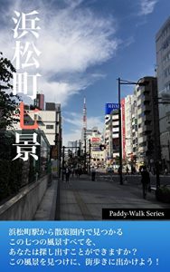 Descargar 7 Spots in Hamamatsu-cho Tokyo Paddy-Walk Series (Japanese Edition) pdf, epub, ebook