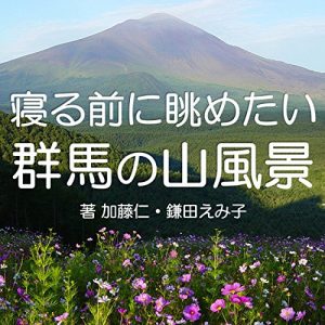 Descargar nerumaeninagametaigunmanoyamafuukei (Japanese Edition) pdf, epub, ebook