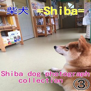 Descargar sibainunanatohachinosyasinsyu (Japanese Edition) pdf, epub, ebook