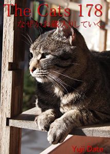 Descargar zakyaltutuhyakunanajyuuhati (Japanese Edition) pdf, epub, ebook