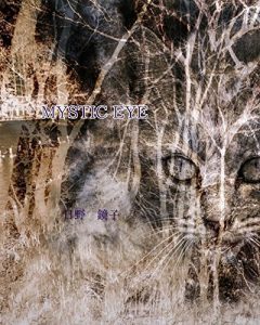 Descargar Mystic eye (Japanese Edition) pdf, epub, ebook