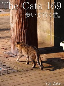 Descargar zakyaltutuhyakurokujyuukyuu (Japanese Edition) pdf, epub, ebook