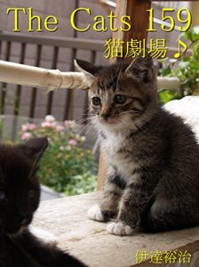Descargar zakyaltutuhyakugojyuukyuu (Japanese Edition) pdf, epub, ebook