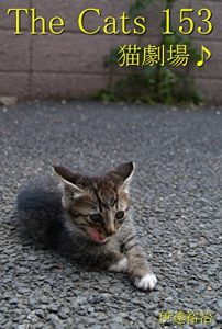 Descargar zakyaltutuhyakugojyuusan (Japanese Edition) pdf, epub, ebook
