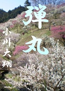 Descargar Dangan (Japanese Edition) pdf, epub, ebook