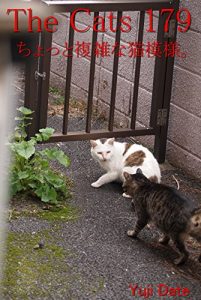 Descargar zakyaltutuhyakunanajyuukyuu (Japanese Edition) pdf, epub, ebook