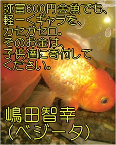 Descargar yatomiroltupyakuennkinngyodemokaru-kugyarawokasegaserosonookanehakodomotachinikifushitekudasaishimadatomoyukikaltukobeji-takaltukotojiru (Japanese Edition) pdf, epub, ebook