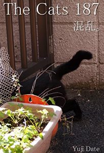Descargar zakyaltutuhyakuhatijyuunana (Japanese Edition) pdf, epub, ebook