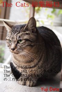 Descargar zakyaltutusousyuuhenyonjyuusan (Japanese Edition) pdf, epub, ebook