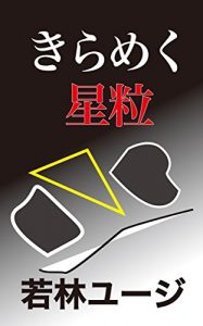 Descargar A Flashing Stellar (Japanese Edition) pdf, epub, ebook