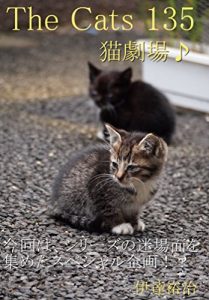 Descargar zakyaltutuhyakusanjyuugo (Japanese Edition) pdf, epub, ebook
