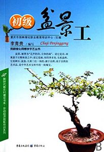 Descargar 初级盆景工 pdf, epub, ebook