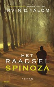 Descargar Het raadsel Spinoza pdf, epub, ebook