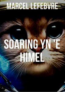Descargar Soaring yn ‘e himel (Frisian Edition) pdf, epub, ebook