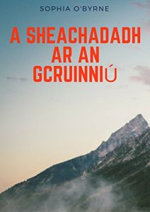 Descargar A sheachadadh ar an gcruinniú (Irish Edition) pdf, epub, ebook