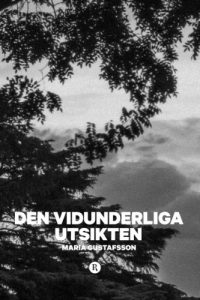 Descargar Den vidunderliga utsikten (Klara Andersson Book 1) (Swedish Edition) pdf, epub, ebook