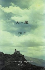 Descargar Tian·Zang: Sky·Tibet (Chinese Edition) pdf, epub, ebook