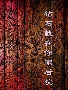 Descargar 钻石就在你家后院 pdf, epub, ebook