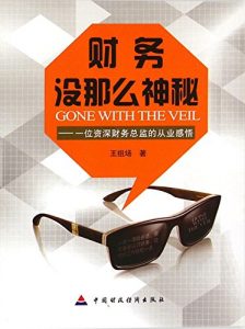 Descargar 财务没那么神秘：一位资深财务总监的从业感悟 pdf, epub, ebook