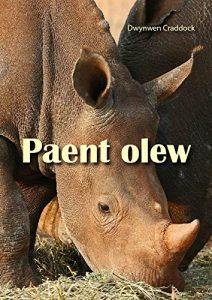 Descargar Paent olew (Welsh Edition) pdf, epub, ebook