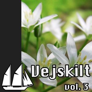 Descargar Vejskilt 3 (Dutch Edition) pdf, epub, ebook