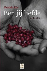 Descargar Ben jij liefde (Dutch Edition) pdf, epub, ebook