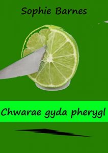 Descargar Chwarae gyda pherygl (Welsh Edition) pdf, epub, ebook