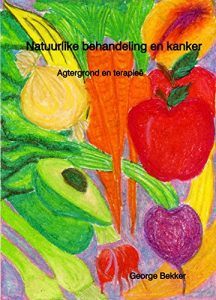 Descargar Natuurlike behandeling en kanker: Agtergrond en terapieë (Afrikaans Edition) pdf, epub, ebook