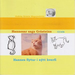 Descargar Hannesar saga Grásteins – 12. bók – Hannes flytur í nýtt hverfi (Icelandic Edition) pdf, epub, ebook