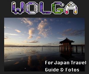 Descargar WOLGA 4 (Dutch Edition) pdf, epub, ebook