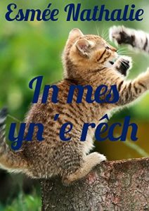Descargar In mes yn ‘e rêch (Frisian Edition) pdf, epub, ebook