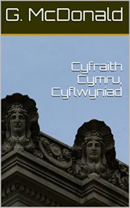 Descargar Cyfraith Cymru, Cyflwyniad (Welsh Edition) pdf, epub, ebook