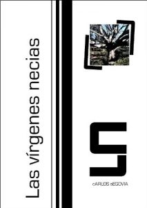 Descargar Las vírgenes necias (novela corta) pdf, epub, ebook
