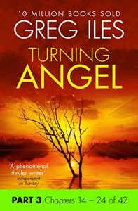 Descargar Turning Angel: Part 3, Chapters 14 to 24 pdf, epub, ebook