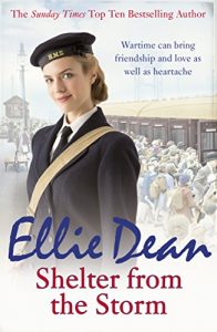 Descargar Shelter from the Storm: Beach View Boarding House 11 pdf, epub, ebook