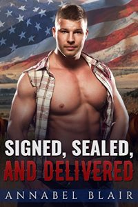 Descargar MILITARY ROMANCE: Signed Sealed and Delivered (English Edition) pdf, epub, ebook