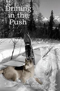 Descargar Drifting in the Push (English Edition) pdf, epub, ebook