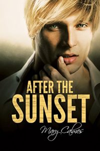 Descargar After the Sunset (Timing Book 2) (English Edition) pdf, epub, ebook