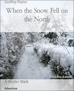 Descargar When the Snow Fell on the North: A Winter Walk (English Edition) pdf, epub, ebook
