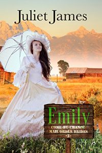 Descargar Emily – Come By Chance Mail Order Brides: Sweet Montana Western Bride Romance (Come-By-Chance Mail Order Brides Book 2) (English Edition) pdf, epub, ebook